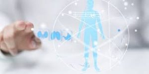 La stratégie de régime